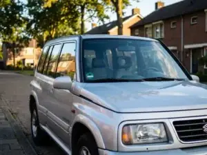 Zilveren Suzuki Swift geparkeerd op een Nederlandse woonstraat, odometer zichtbaar door de voorruit, gouden middagzon op de lak.